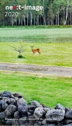 Huawei P30 Shot - Estonia