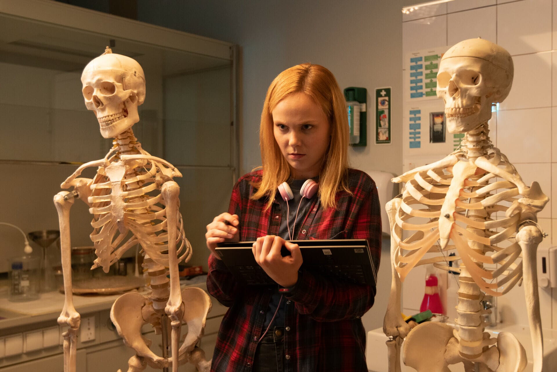 Sexify Serial Netflix Lansare