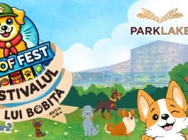 Colorful banner for Woof Fest with cartoon dogs in a sunny park and a large ribbon sign announcing Festivalul Lui Bobița, set near a modern glass building.