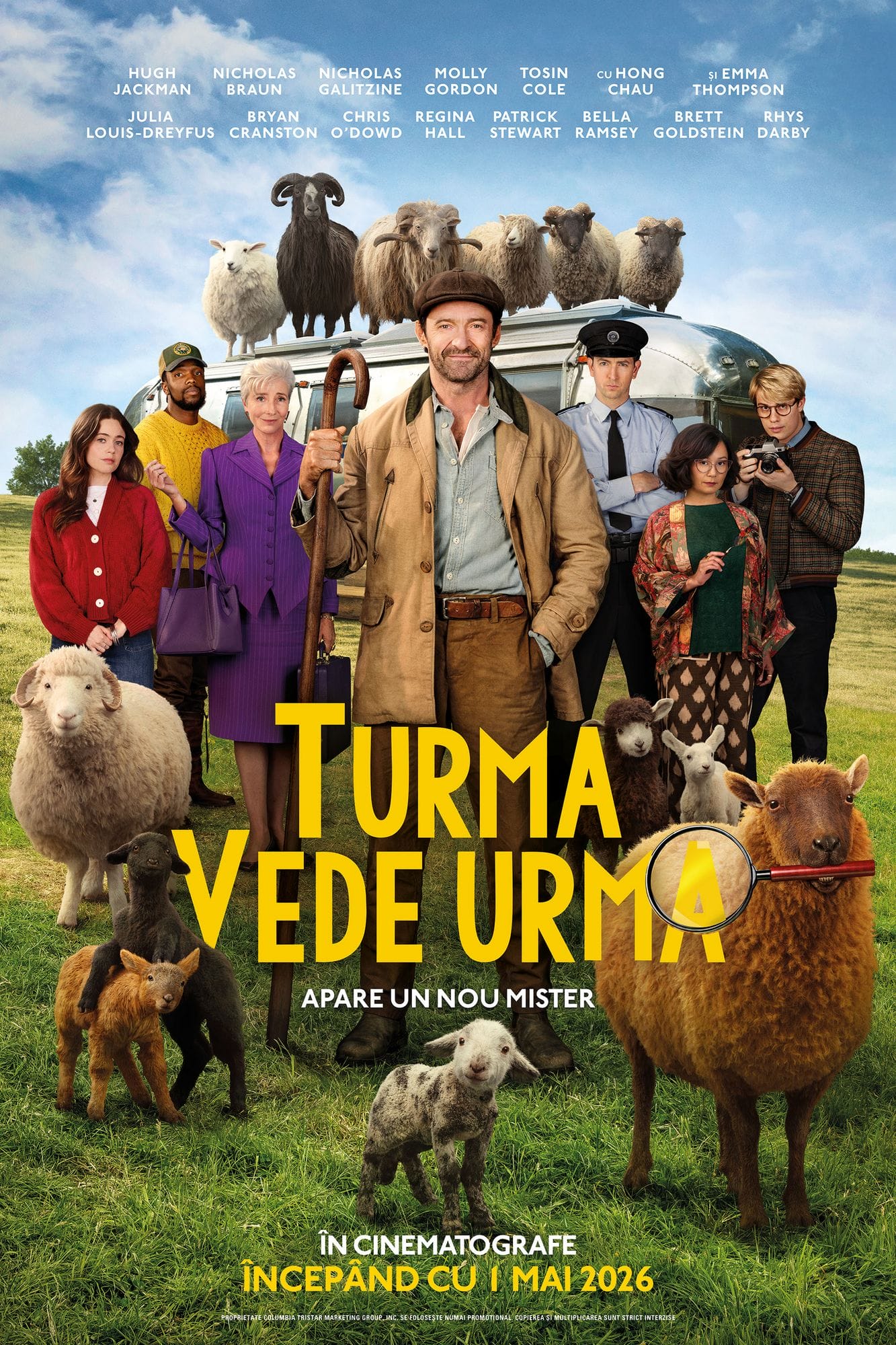 The Sheep Detectives